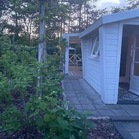 Romantisch Boshuisje Met Jacuzzi