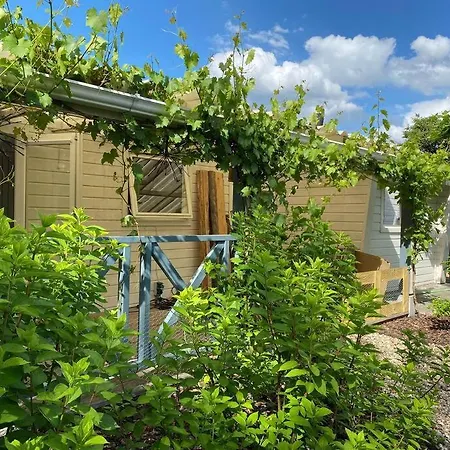 Chalet Romantisch Boshuisje Met Jacuzzi Putten