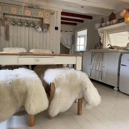 Romantisch Boshuisje Met Jacuzzi Putten