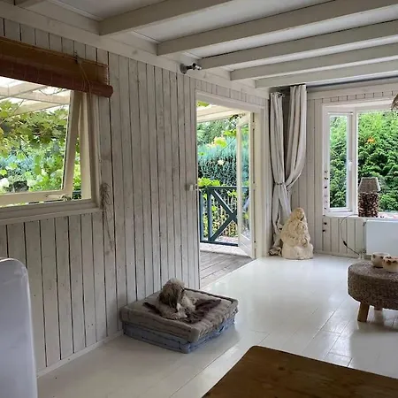 Romantisch Boshuisje Met Jacuzzi
