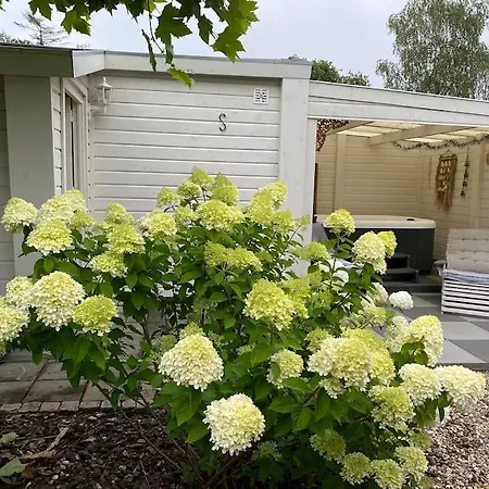 Romantisch Boshuisje Met Jacuzzi 3* Putten
