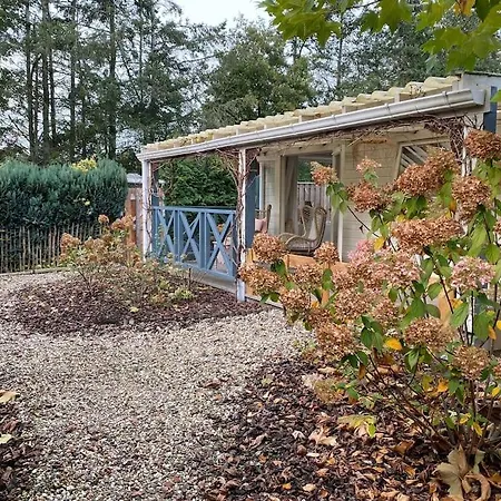 Romantisch Boshuisje Met Jacuzzi Hotel